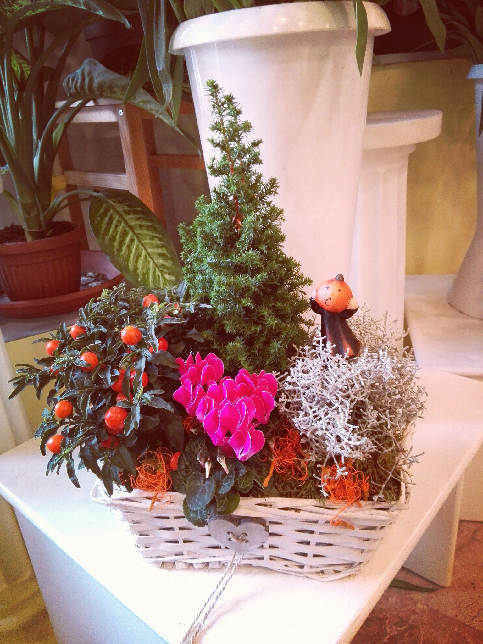 Halloween Composizione Autunnale Cestino Ciclamino  Fioreria Bruseghini Besenello Trento